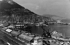 ORAN 02425